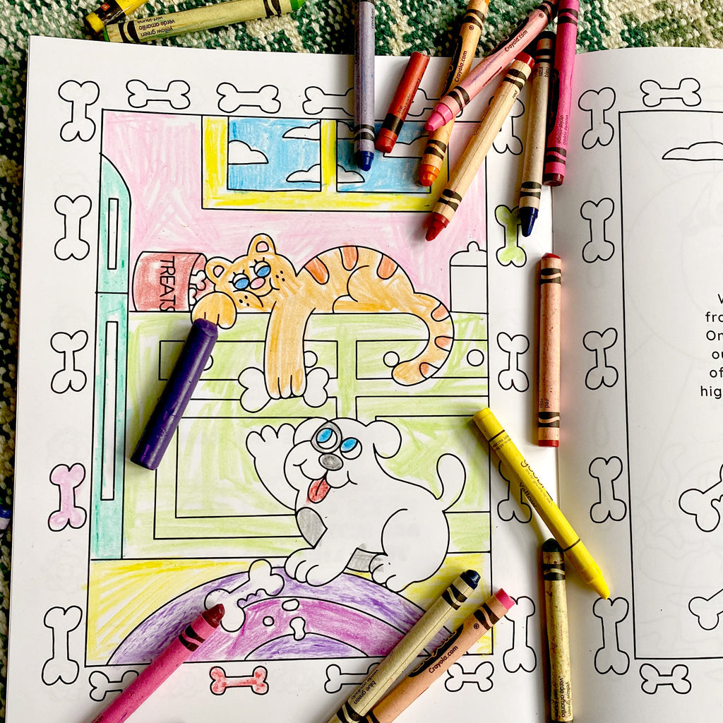 MYSTERY SOCKS + COLORING BOOKS BUNDLE